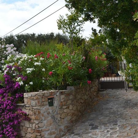 سان تروبيه Apartment Les Moulins المظهر الخارجي الصورة
