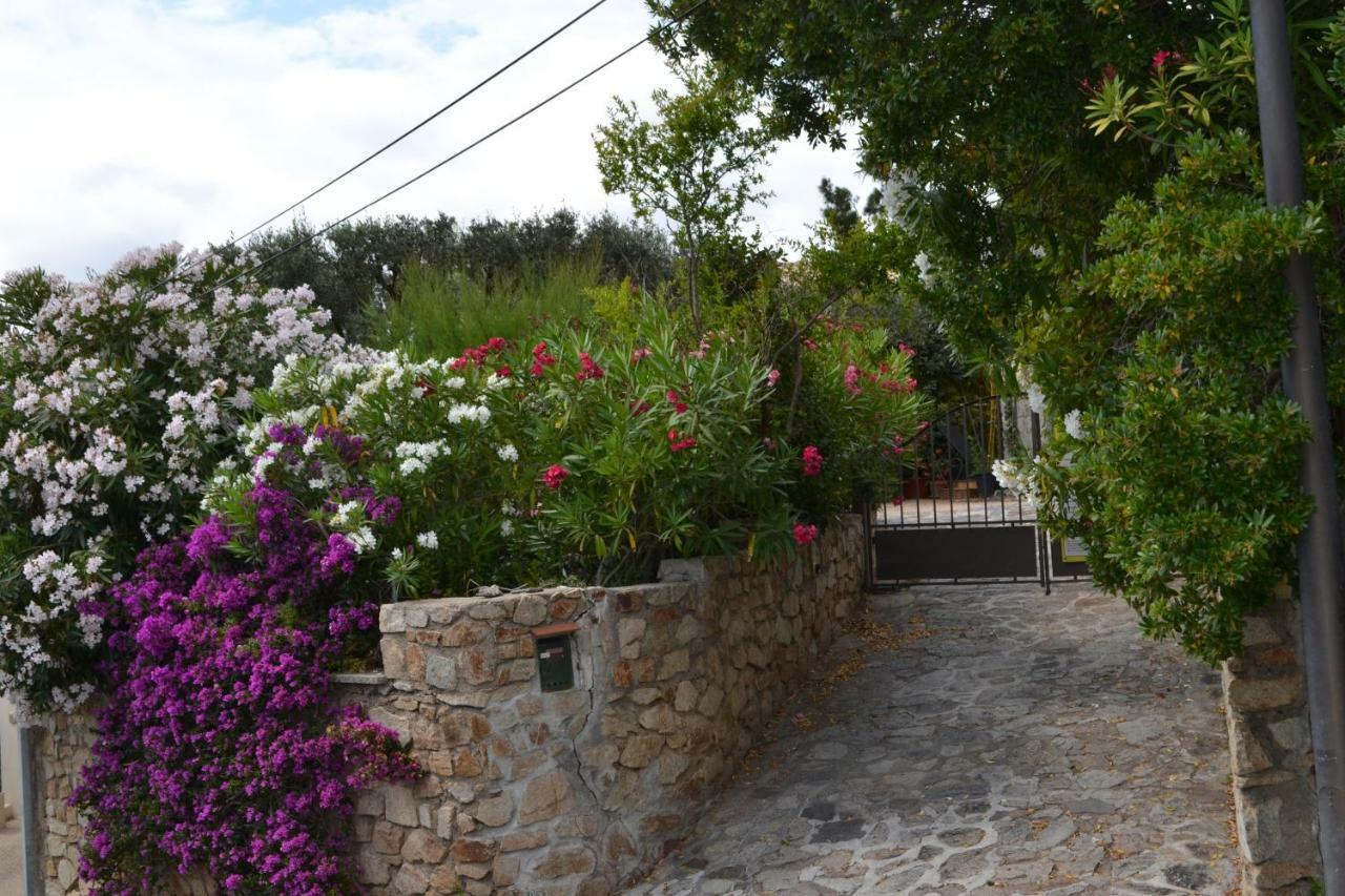 سان تروبيه Apartment Les Moulins المظهر الخارجي الصورة